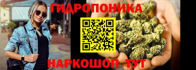 прущие грибы Донецк