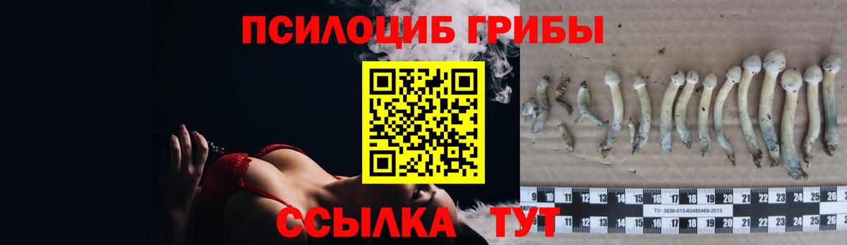 Псилоцибиновые грибы прущие грибы Кропоткин